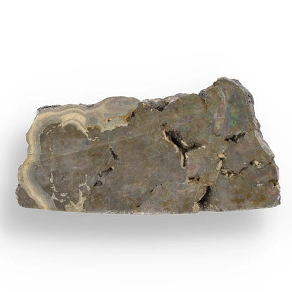 Get your Premier Olkusz Schalenblende: Rare Concentric Sphalerite & Marcasite with Silvery Galena online now or in store at Forever Gems in Franschhoek, South Africa