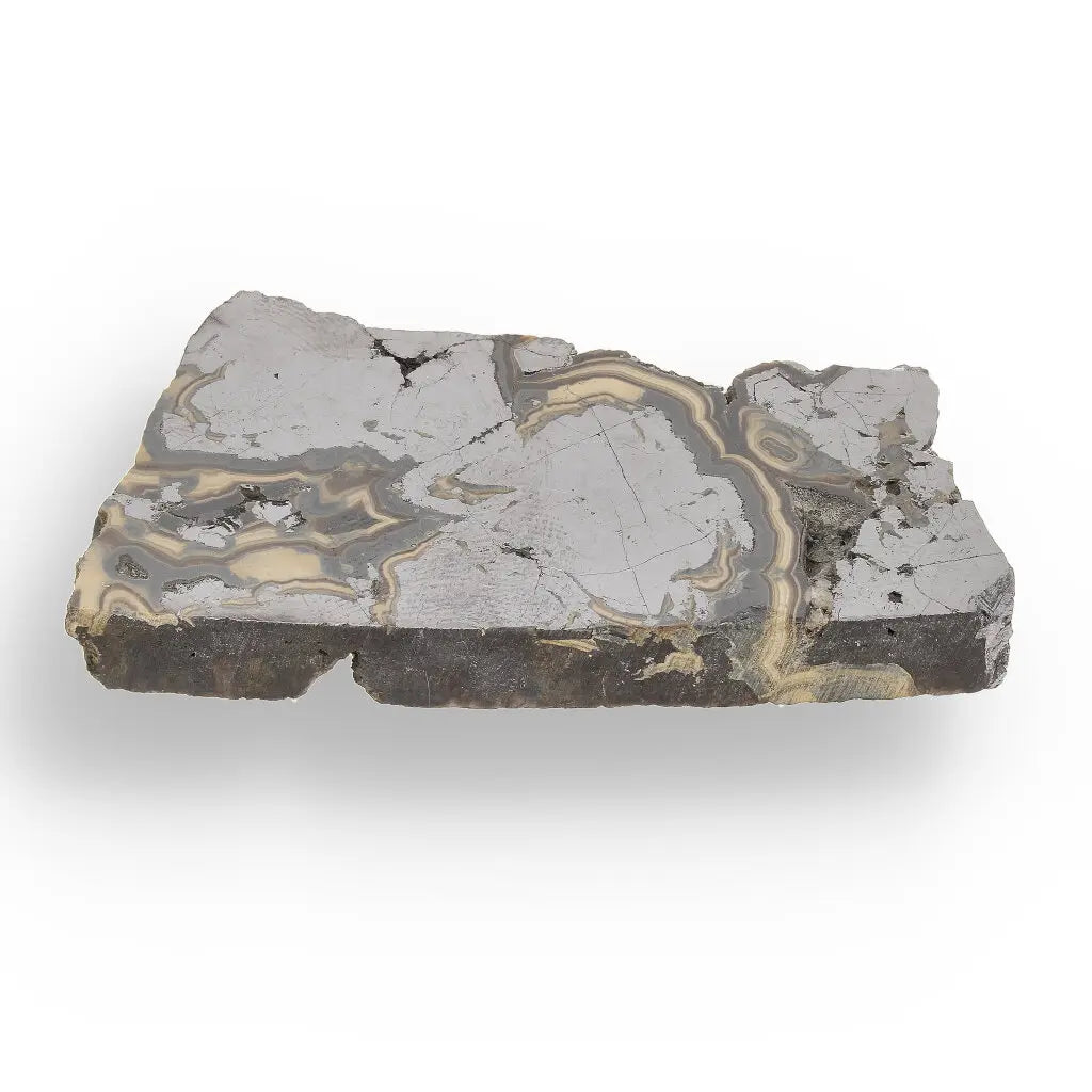 Get your Premier Olkusz Schalenblende: Rare Concentric Sphalerite & Marcasite with Silvery Galena online now or in store at Forever Gems in Franschhoek, South Africa