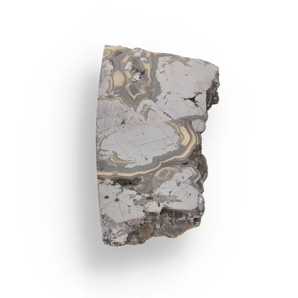 Get your Premier Olkusz Schalenblende: Rare Concentric Sphalerite & Marcasite with Silvery Galena online now or in store at Forever Gems in Franschhoek, South Africa