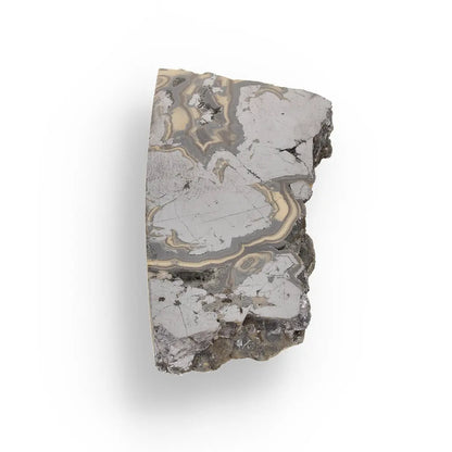 Get your Premier Olkusz Schalenblende: Rare Concentric Sphalerite & Marcasite with Silvery Galena online now or in store at Forever Gems in Franschhoek, South Africa