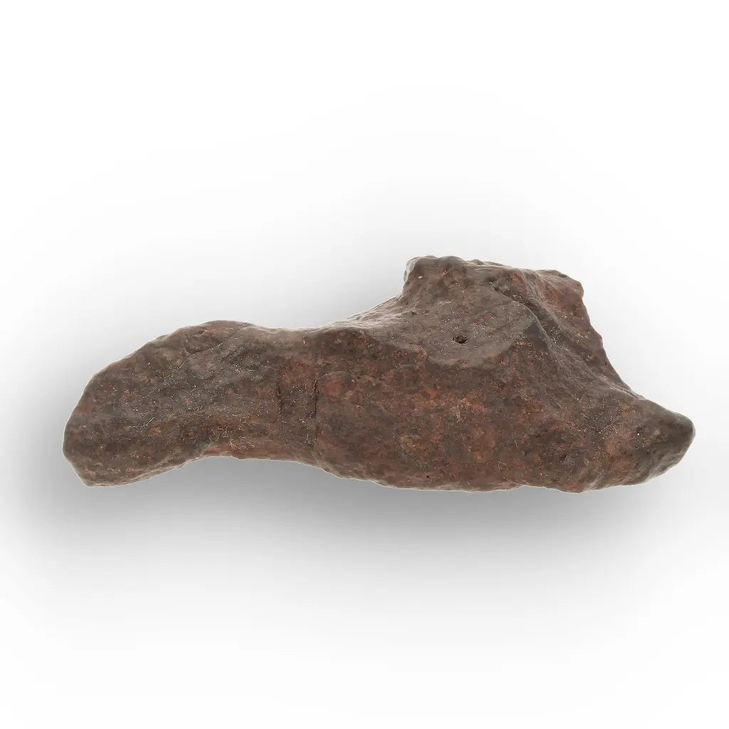 Get your NWA Unclassified Chondrite Meteorite Moroccan Find online now or in store at Forever Gems in Franschhoek, South Africa
