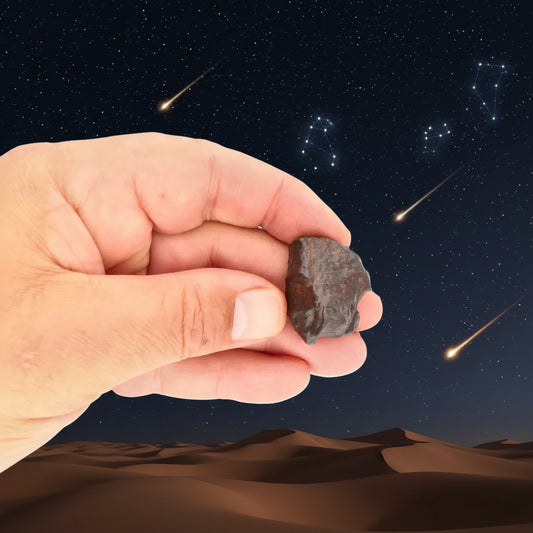 Get your Unclassified NWA Morocco Chondrite Meteorite Piece online now or in store at Forever Gems in Franschhoek, South Africa