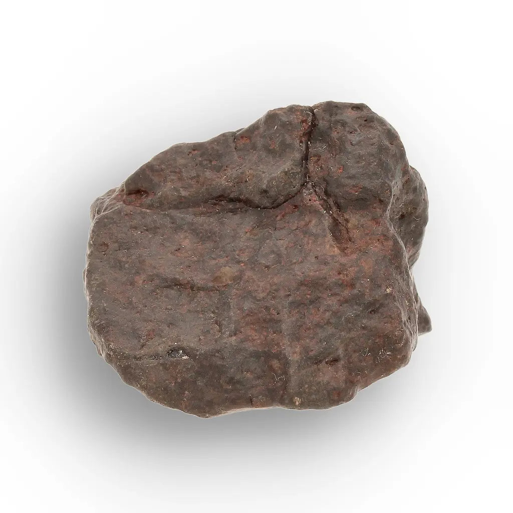 Get your NWA Morocco Unclassified Chondrite Meteorite Rock online now or in store at Forever Gems in Franschhoek, South Africa