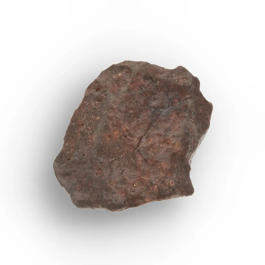Get your NWA Morocco Unclassified Chondrite Meteorite Rock online now or in store at Forever Gems in Franschhoek, South Africa