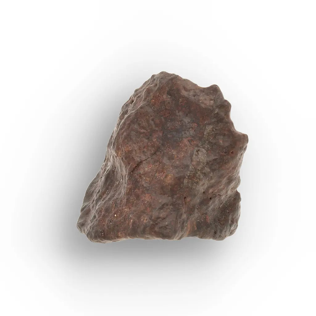 Get your NWA Morocco Unclassified Chondrite Meteorite Rock online now or in store at Forever Gems in Franschhoek, South Africa