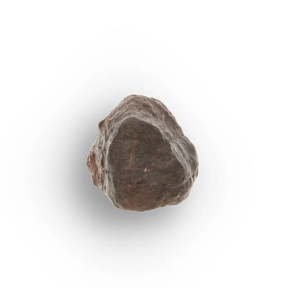 Get your Unclassified Chondrite Meteorite from NWA Morocco online now or in store at Forever Gems in Franschhoek, South Africa