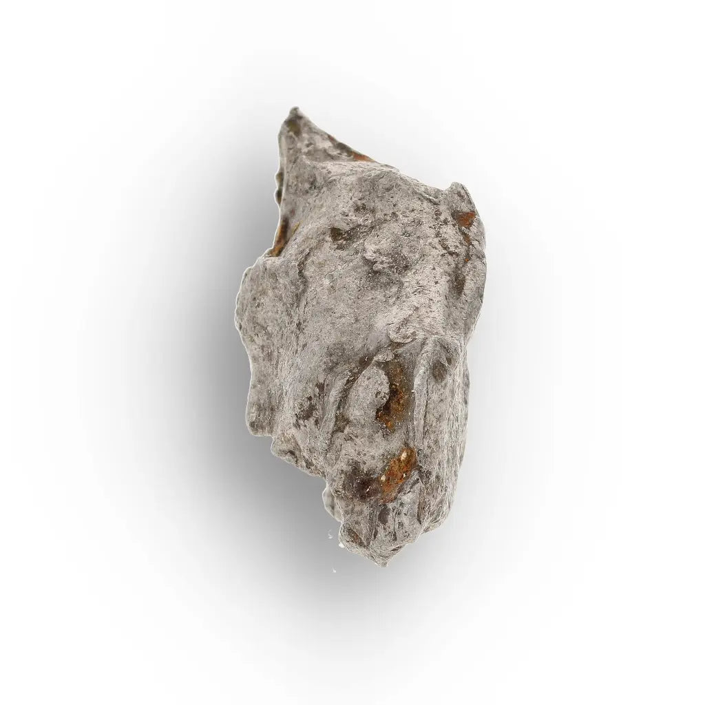 Get your Agoudal Iron Meteorite - Genuine Space Metal from Morocco online now or in store at Forever Gems in Franschhoek, South Africa