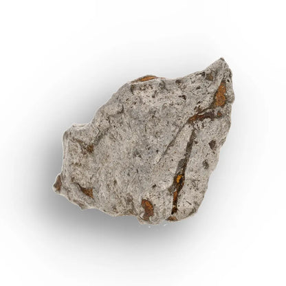 Get your Agoudal Iron Meteorite - Genuine Space Metal from Morocco online now or in store at Forever Gems in Franschhoek, South Africa