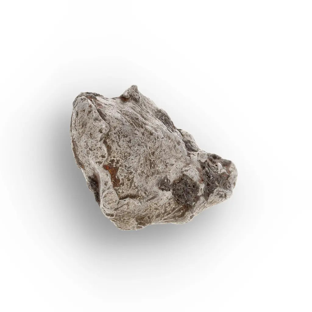 Get your Authentic Agoudal Meteorite - Iron Fragment from Morocco online now or in store at Forever Gems in Franschhoek, South Africa