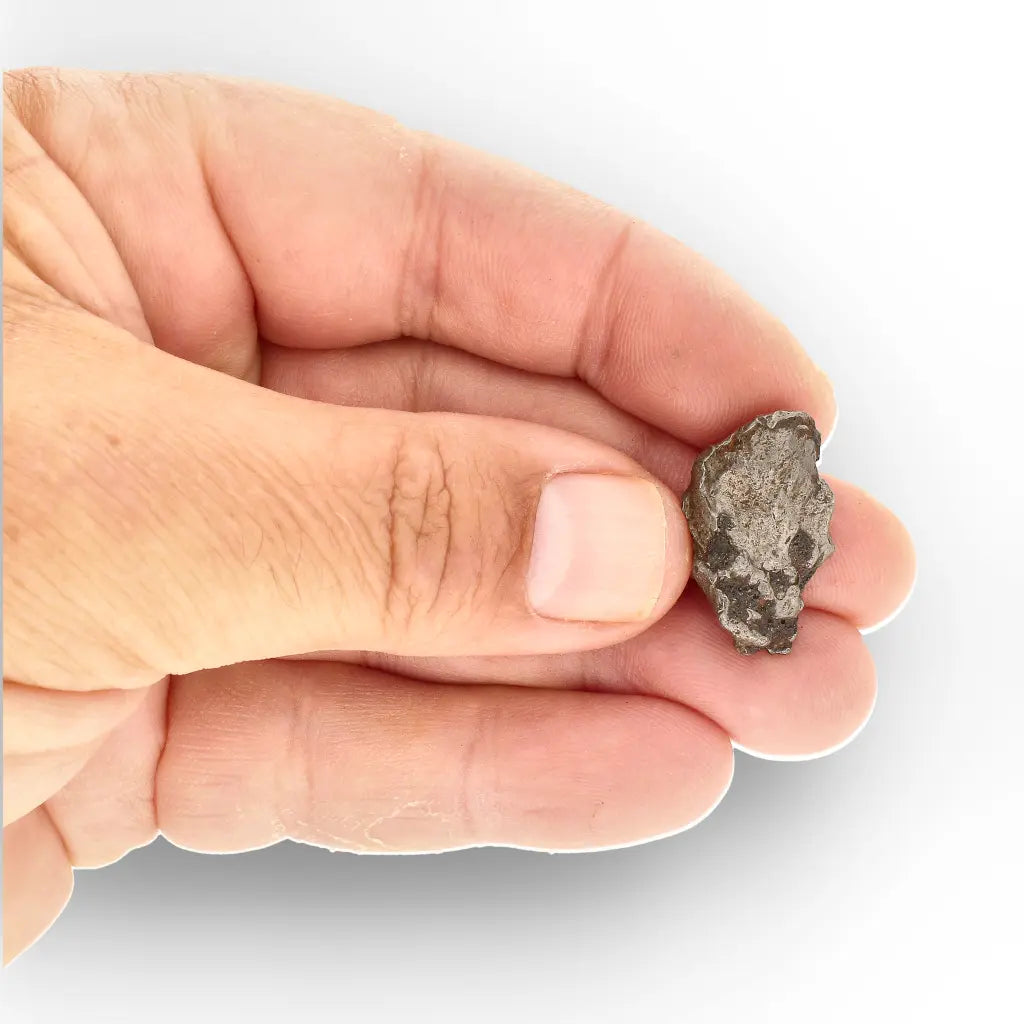 Get your Authentic Agoudal Meteorite - Iron Fragment from Morocco online now or in store at Forever Gems in Franschhoek, South Africa
