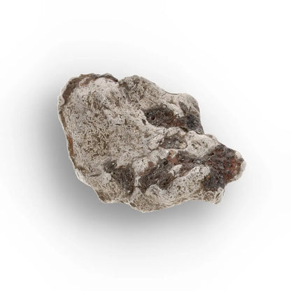 Get your Authentic Agoudal Meteorite - Iron Fragment from Morocco online now or in store at Forever Gems in Franschhoek, South Africa