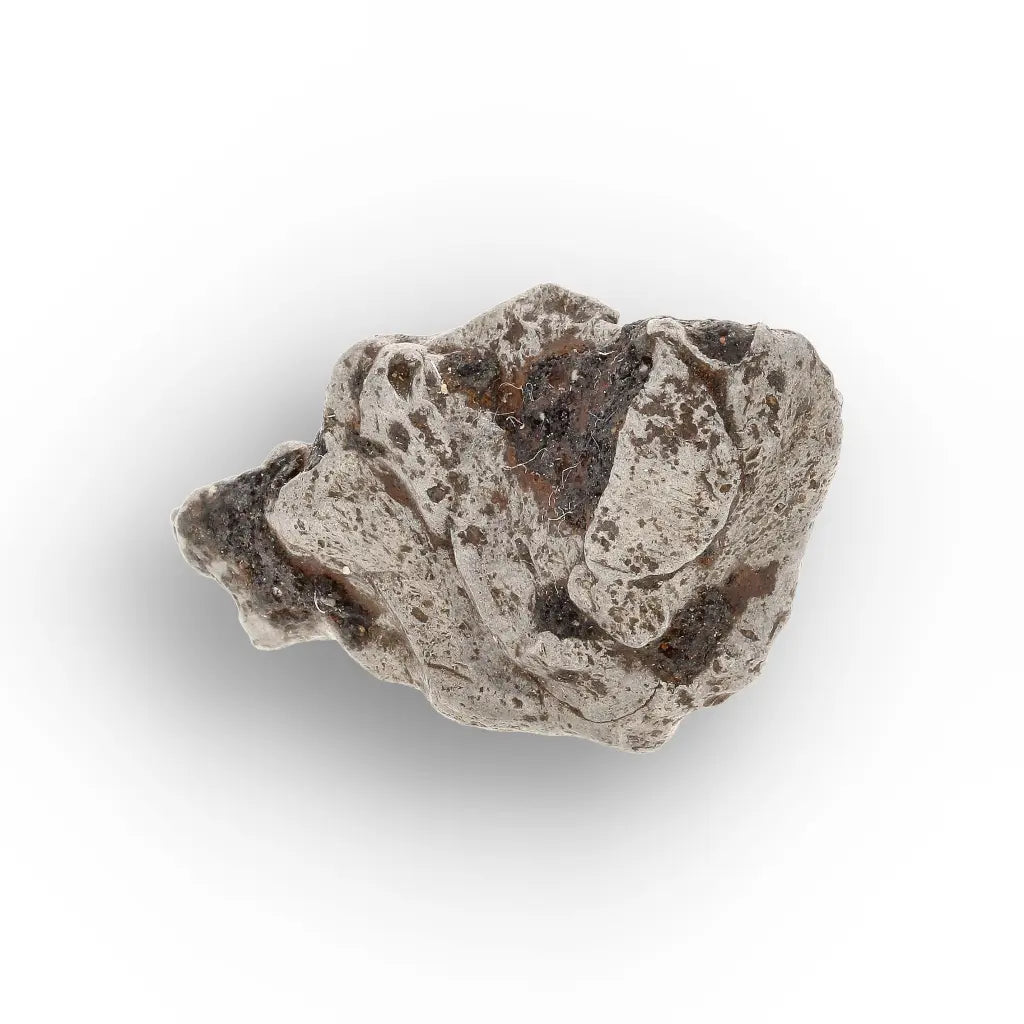 Get your Authentic Agoudal Meteorite - Iron Fragment from Morocco online now or in store at Forever Gems in Franschhoek, South Africa