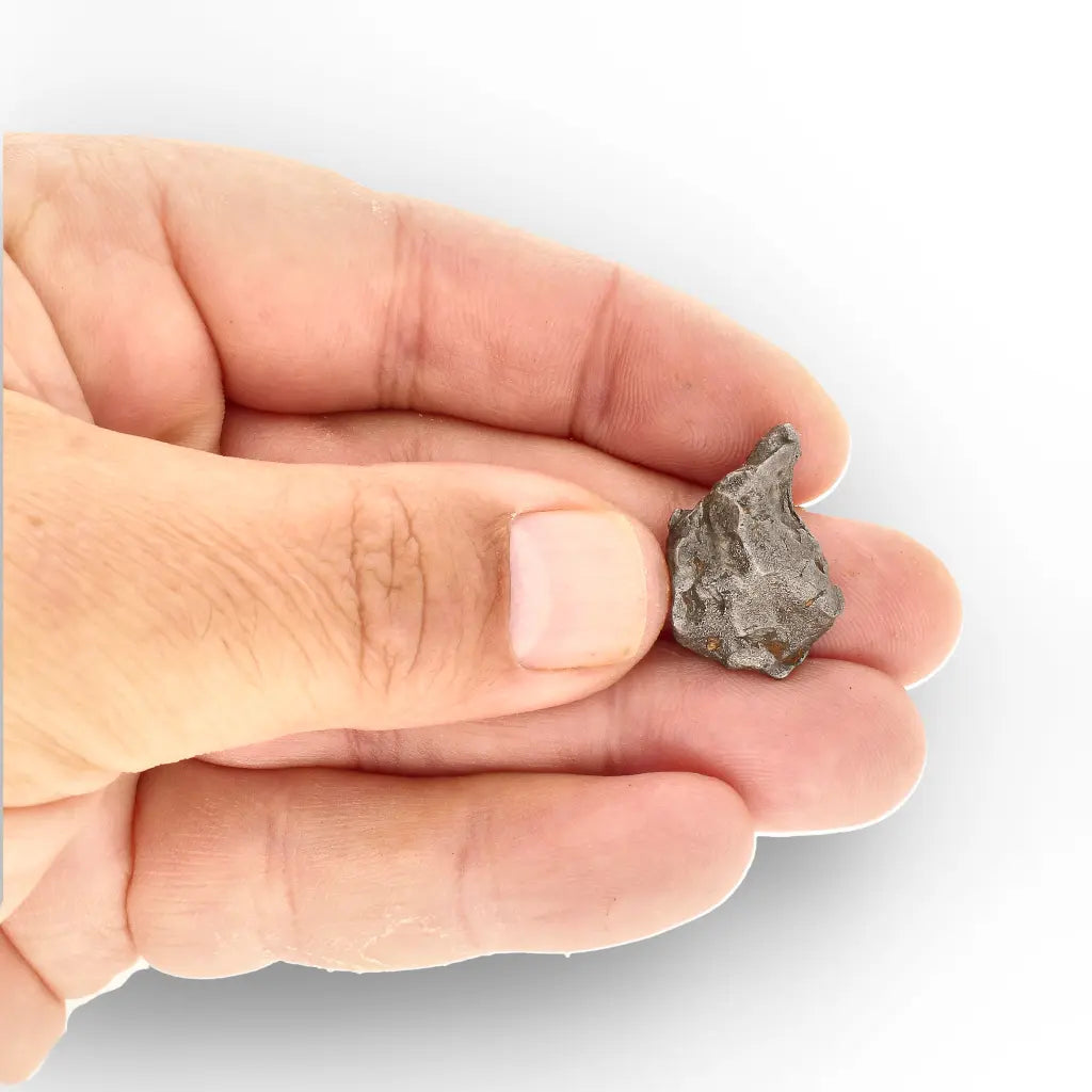Get your Agoudal Iron Meteorite Fragment - Real Meteorite Morocco online now or in store at Forever Gems in Franschhoek, South Africa
