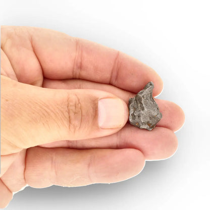 Get your Agoudal Iron Meteorite Fragment - Real Meteorite Morocco online now or in store at Forever Gems in Franschhoek, South Africa