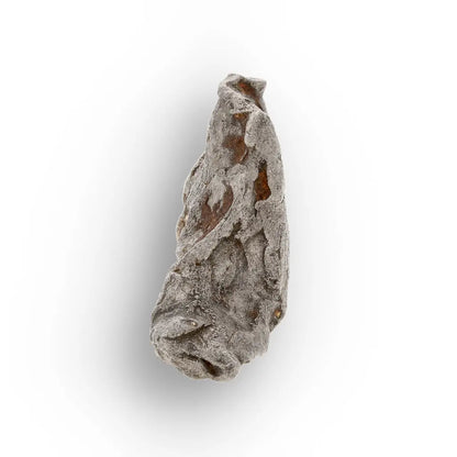 Get your Agoudal Iron Meteorite Fragment - Real Meteorite Morocco online now or in store at Forever Gems in Franschhoek, South Africa
