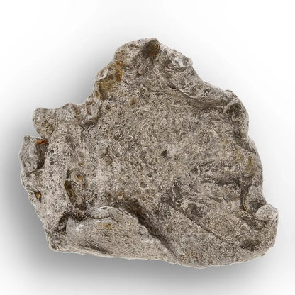 Get your Agoudal Meteorite - Genuine Iron Fragment from Morocco online now or in store at Forever Gems in Franschhoek, South Africa
