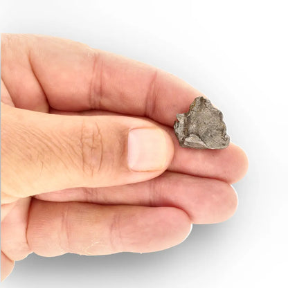 Get your Agoudal Meteorite - Genuine Iron Fragment from Morocco online now or in store at Forever Gems in Franschhoek, South Africa