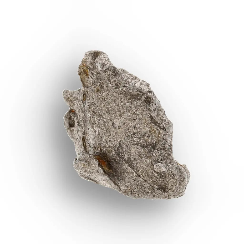 Get your Agoudal Meteorite - Genuine Iron Fragment from Morocco online now or in store at Forever Gems in Franschhoek, South Africa