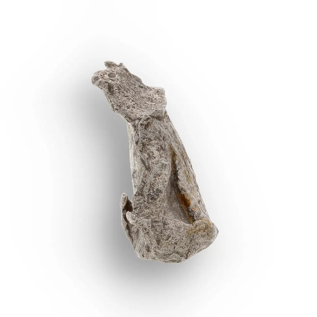 Get your Agoudal Meteorite - Genuine Iron Fragment from Morocco online now or in store at Forever Gems in Franschhoek, South Africa