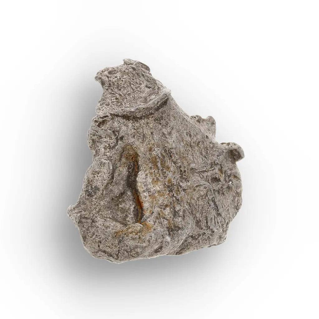 Get your Agoudal Meteorite - Genuine Iron Fragment from Morocco online now or in store at Forever Gems in Franschhoek, South Africa