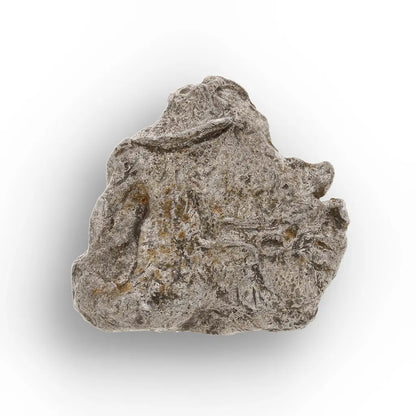 Get your Agoudal Meteorite - Genuine Iron Fragment from Morocco online now or in store at Forever Gems in Franschhoek, South Africa