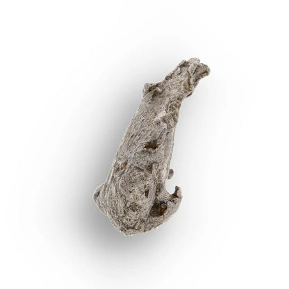 Get your Agoudal Meteorite - Genuine Iron Fragment from Morocco online now or in store at Forever Gems in Franschhoek, South Africa