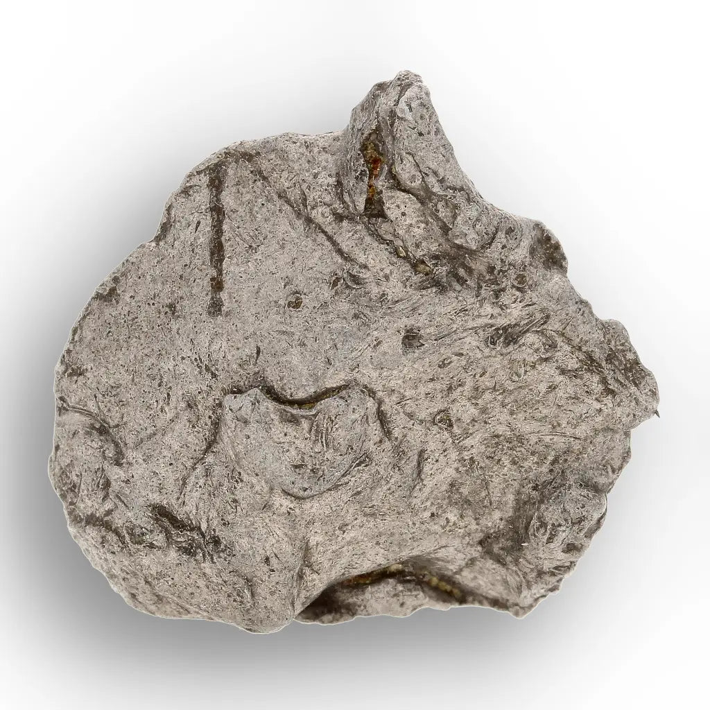 Get your Authentic Agoudal Iron Meteorite - High Atlas, Morocco online now or in store at Forever Gems in Franschhoek, South Africa