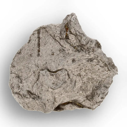 Get your Authentic Agoudal Iron Meteorite - High Atlas, Morocco online now or in store at Forever Gems in Franschhoek, South Africa