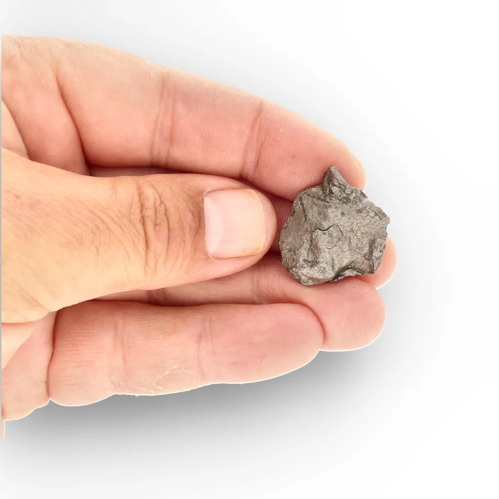 Get your Authentic Agoudal Iron Meteorite - High Atlas, Morocco online now or in store at Forever Gems in Franschhoek, South Africa
