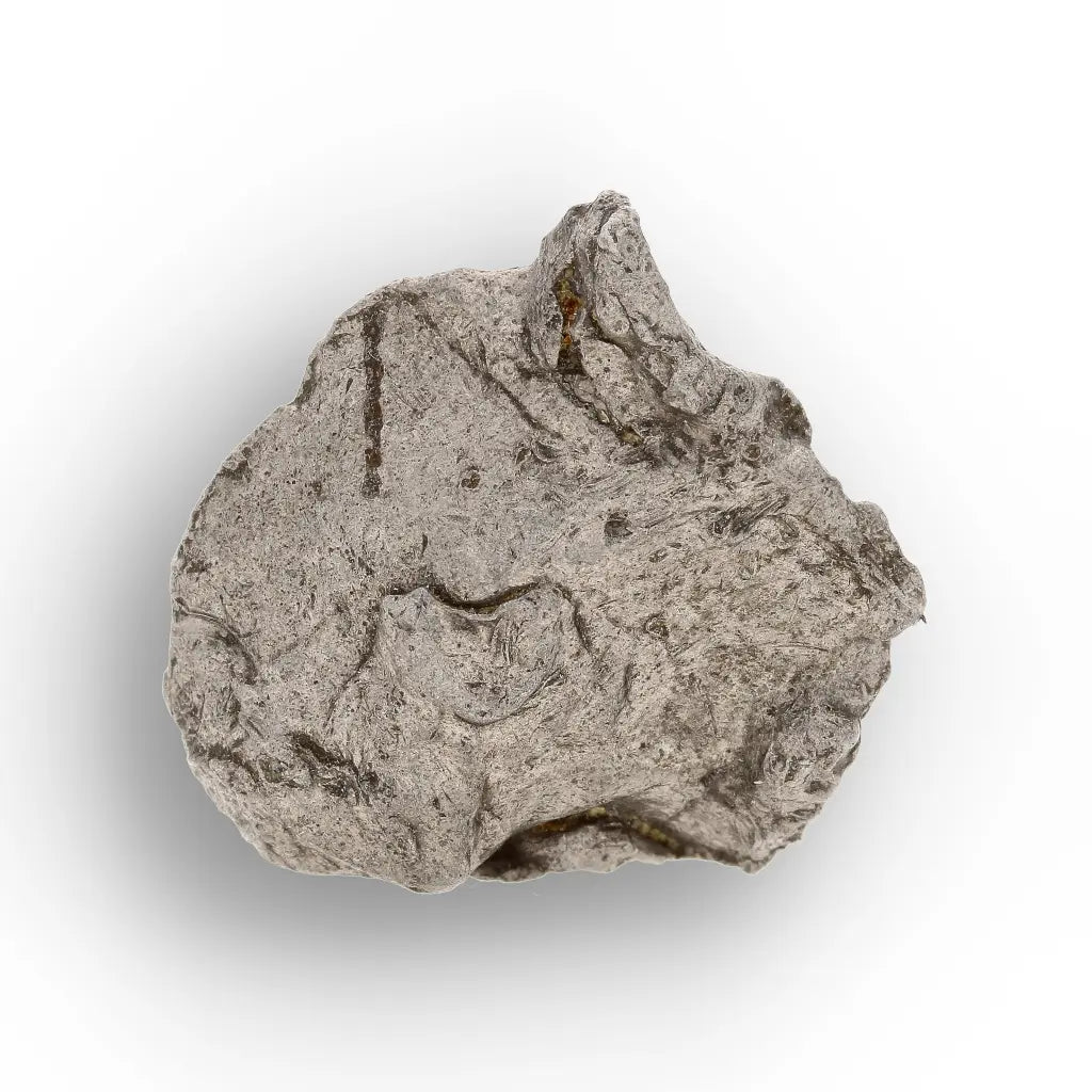 Get your Authentic Agoudal Iron Meteorite - High Atlas, Morocco online now or in store at Forever Gems in Franschhoek, South Africa