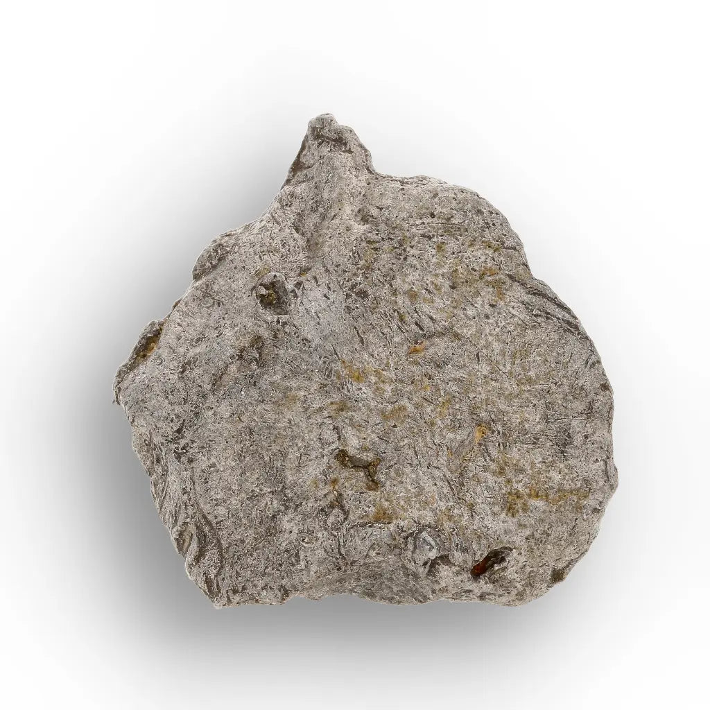 Get your Authentic Agoudal Iron Meteorite - High Atlas, Morocco online now or in store at Forever Gems in Franschhoek, South Africa