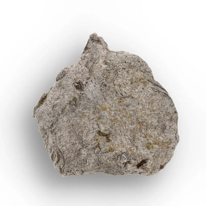Get your Authentic Agoudal Iron Meteorite - High Atlas, Morocco online now or in store at Forever Gems in Franschhoek, South Africa