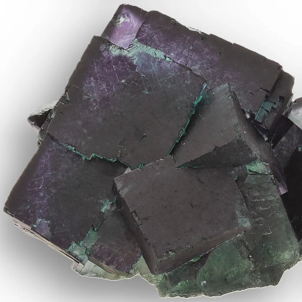 Purple and Green Fluorite Cluster from Okorusu Angel Pocket