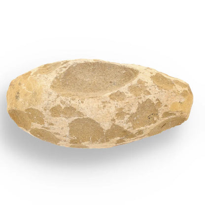 Get your Brazilian Limestone Fish Fossil - Small Santana Formation Cretaceous Marine Collectible online now or in store at Forever Gems in Franschhoek, South Africa