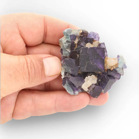 Get your Purple & Blue-Green Fluorite with Quartz from Okorusu Mine, Namibia online now or in store at Forever Gems in Franschhoek, South Africa