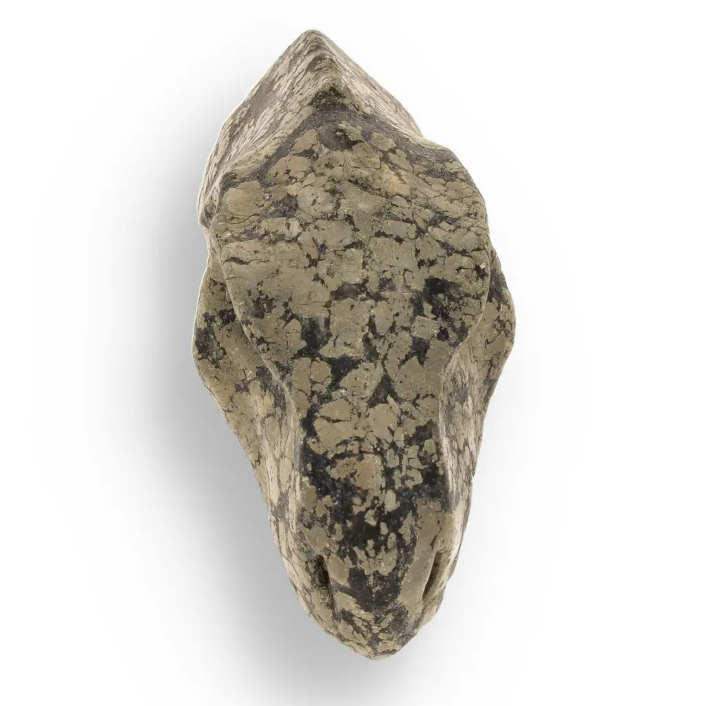Get your T-Rex Golden Beast: Pyrite Head Carving online now or in store at Forever Gems in Franschhoek, South Africa