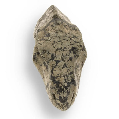 Get your T-Rex Golden Beast: Pyrite Head Carving online now or in store at Forever Gems in Franschhoek, South Africa