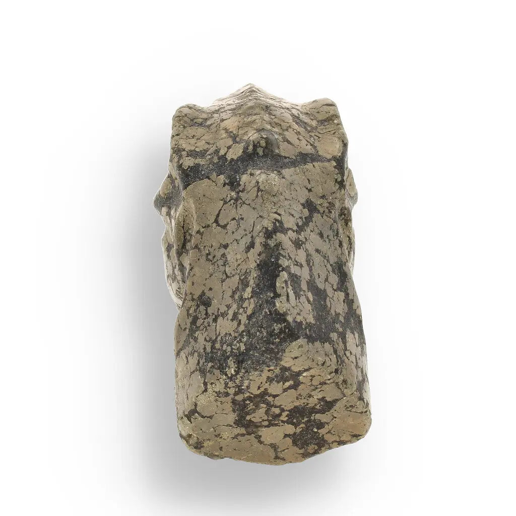 Get your T-Rex Golden Beast: Pyrite Head Carving online now or in store at Forever Gems in Franschhoek, South Africa