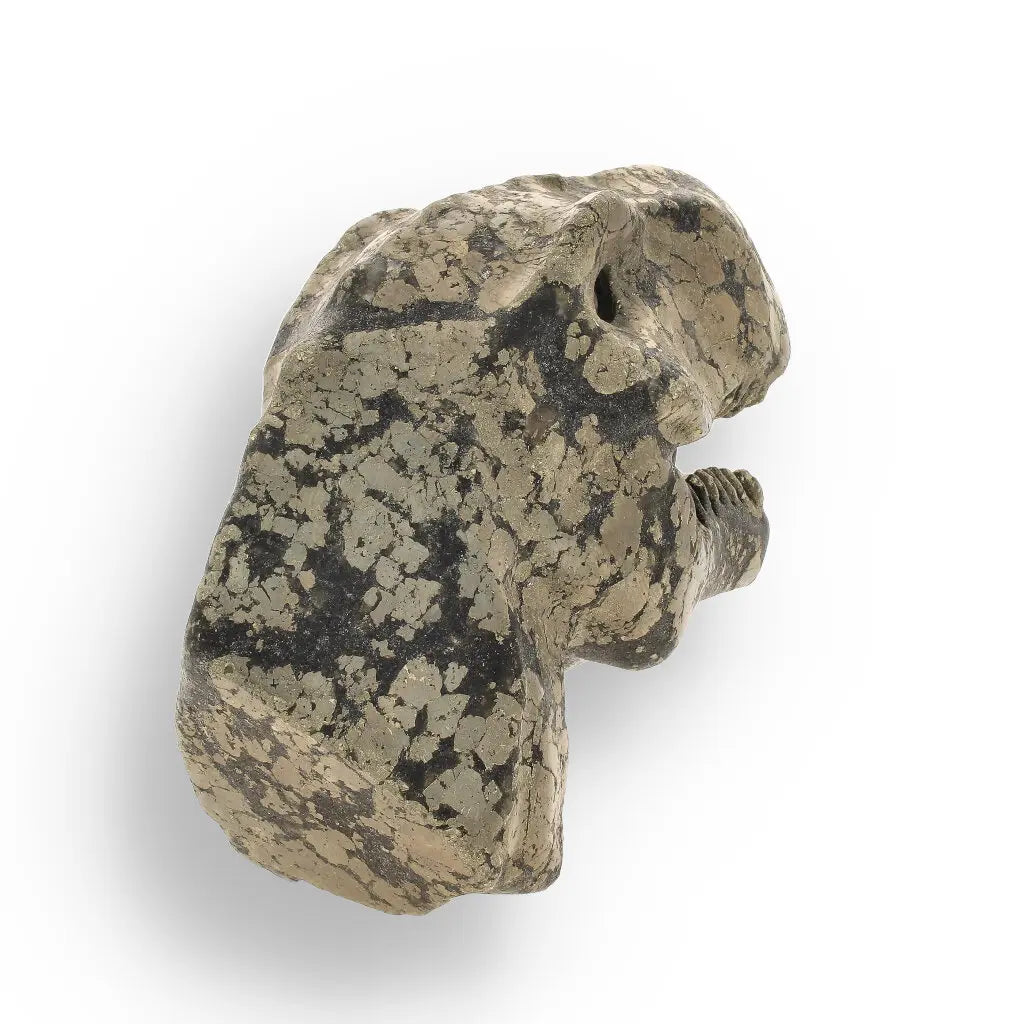 Get your T-Rex Golden Beast: Pyrite Head Carving online now or in store at Forever Gems in Franschhoek, South Africa