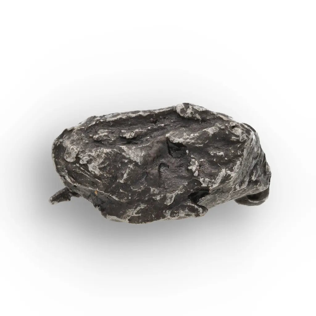 Get your Authentic Sikhote-Alin Meteorite Fragment - Iron from Russia online now or in store at Forever Gems in Franschhoek, South Africa