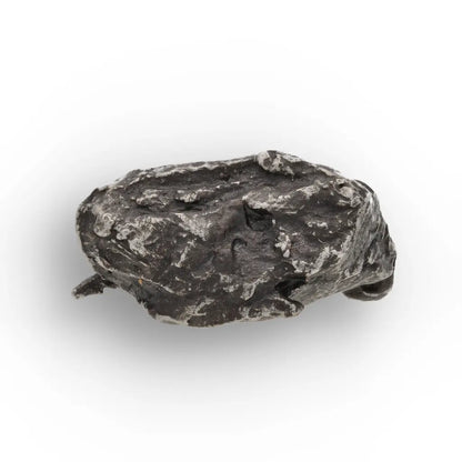 Get your Authentic Sikhote-Alin Meteorite Fragment - Iron from Russia online now or in store at Forever Gems in Franschhoek, South Africa