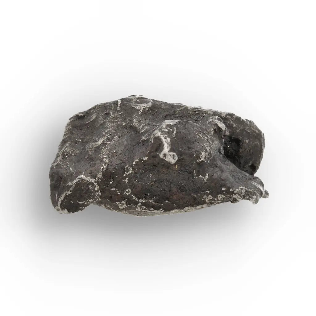 Get your Authentic Sikhote-Alin Meteorite Fragment - Iron from Russia online now or in store at Forever Gems in Franschhoek, South Africa