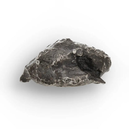 Get your Authentic Sikhote-Alin Meteorite Fragment - Iron from Russia online now or in store at Forever Gems in Franschhoek, South Africa