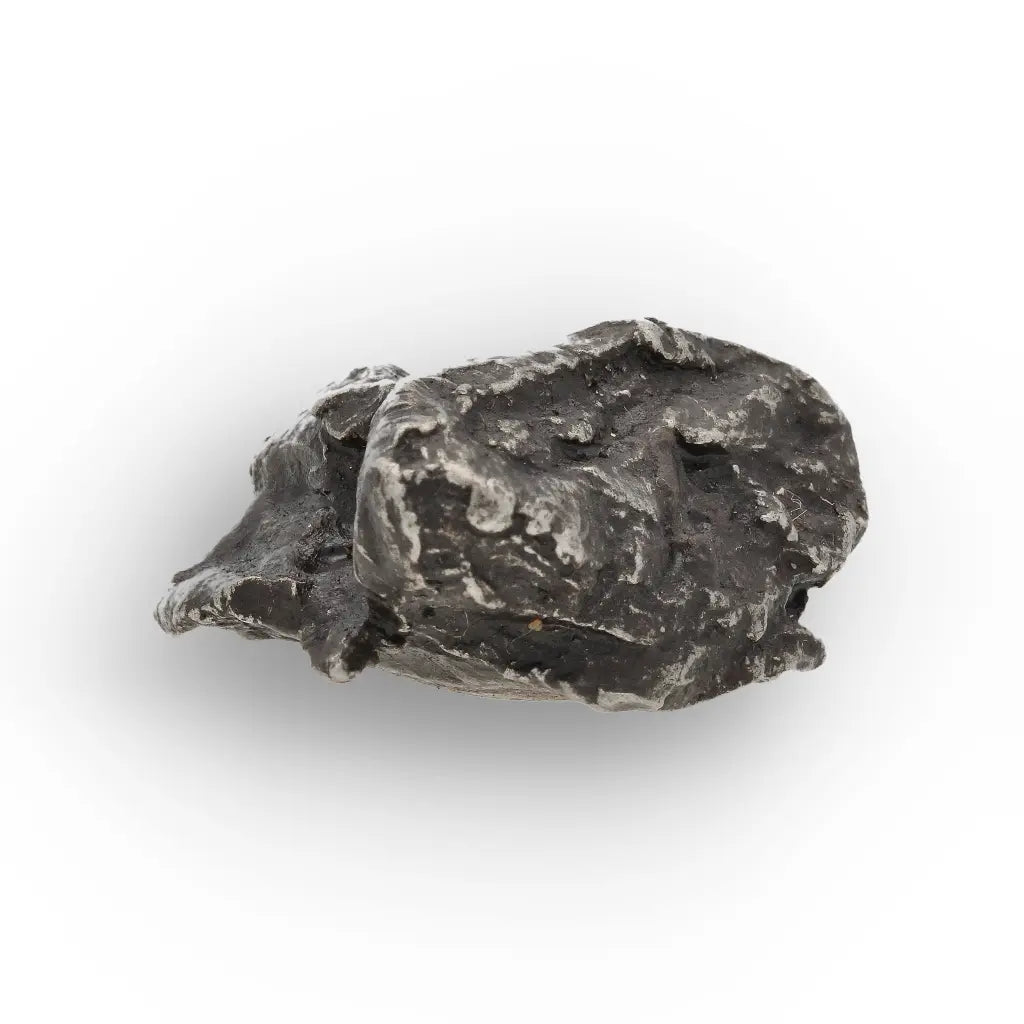 Get your Authentic Sikhote-Alin Meteorite Fragment - Iron from Russia online now or in store at Forever Gems in Franschhoek, South Africa