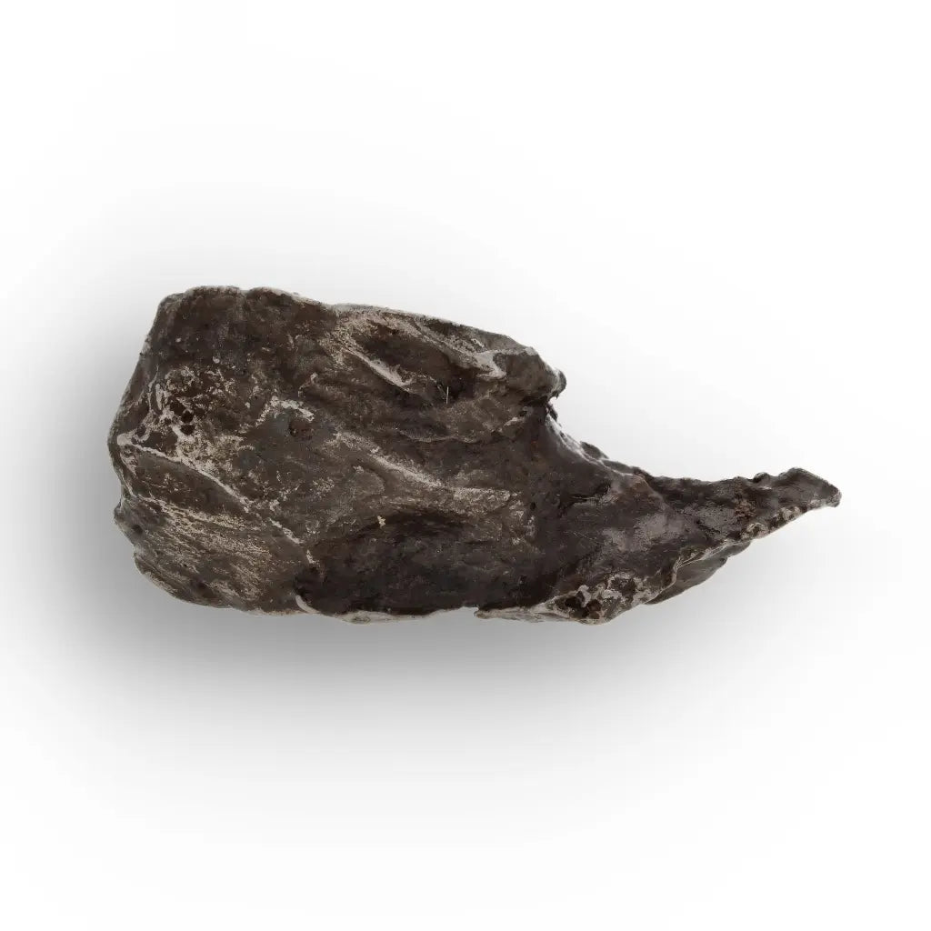Get your Sikhote-Alin Iron Meteorite Fragment | Authentic Russian Fall online now or in store at Forever Gems in Franschhoek, South Africa