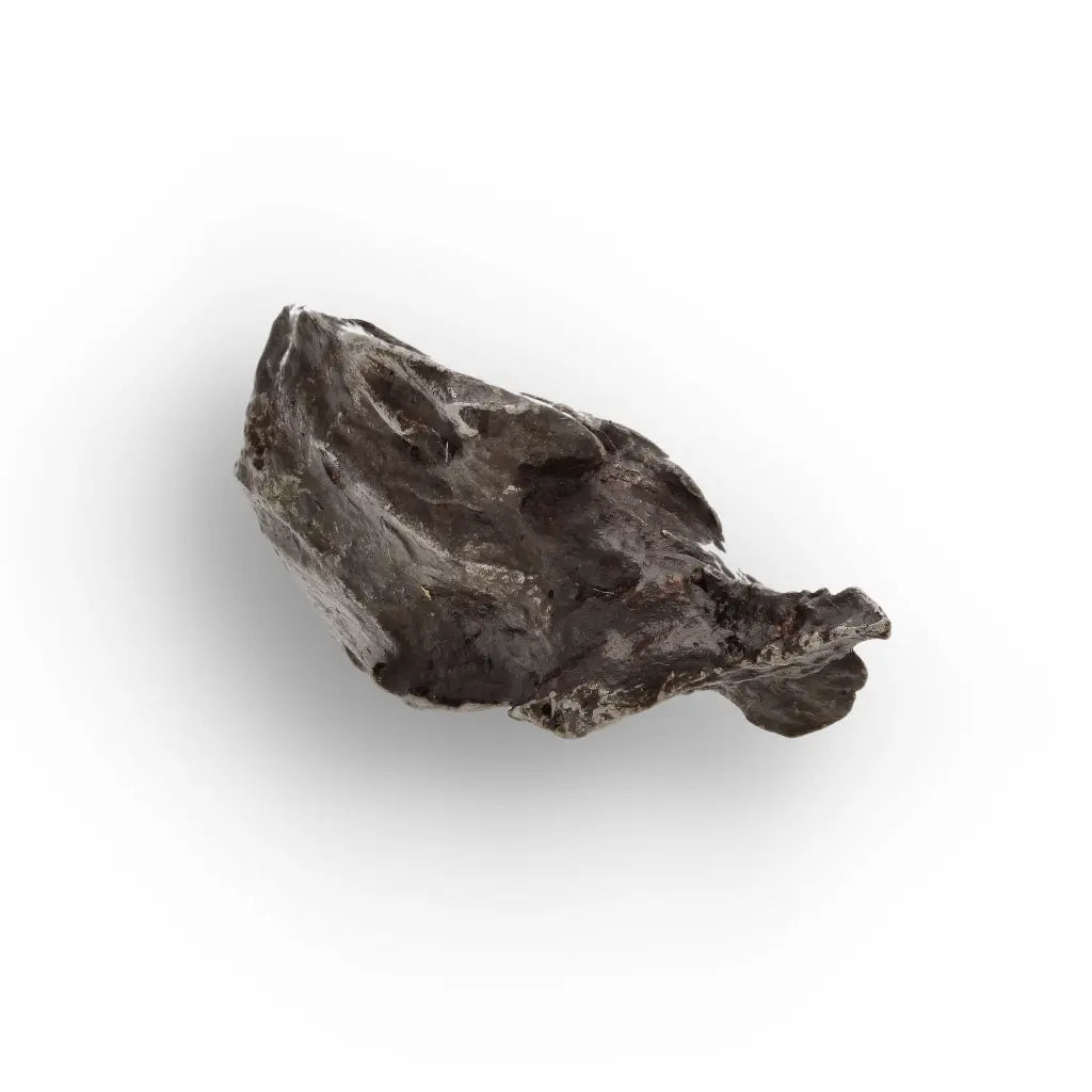 Get your Sikhote-Alin Iron Meteorite Fragment | Authentic Russian Fall online now or in store at Forever Gems in Franschhoek, South Africa