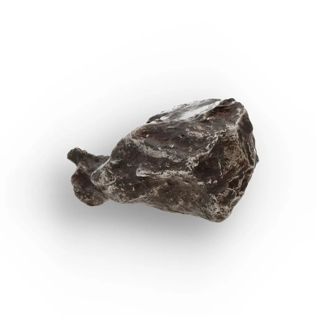 Get your Sikhote-Alin Iron Meteorite Fragment | Authentic Russian Fall online now or in store at Forever Gems in Franschhoek, South Africa