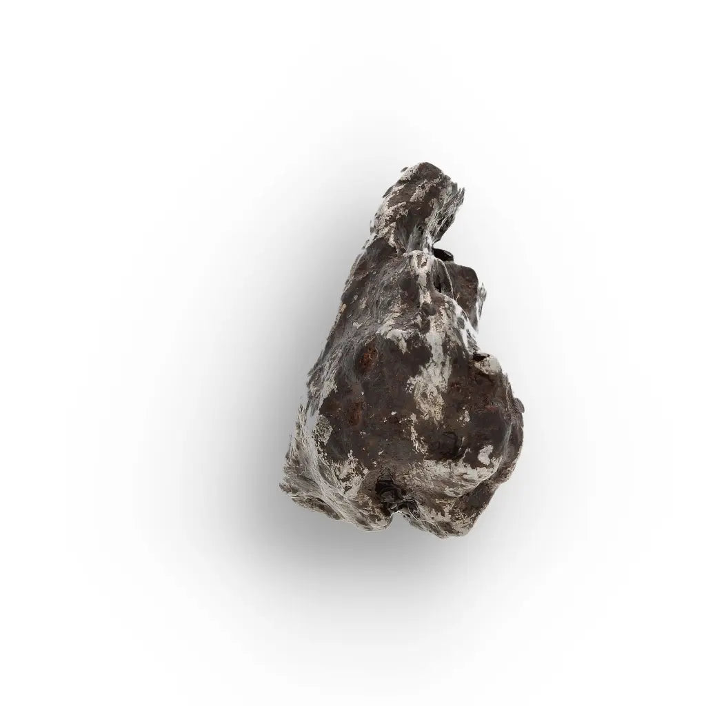 Get your Sikhote-Alin Meteorite Fragment | Genuine Iron from Russia online now or in store at Forever Gems in Franschhoek, South Africa