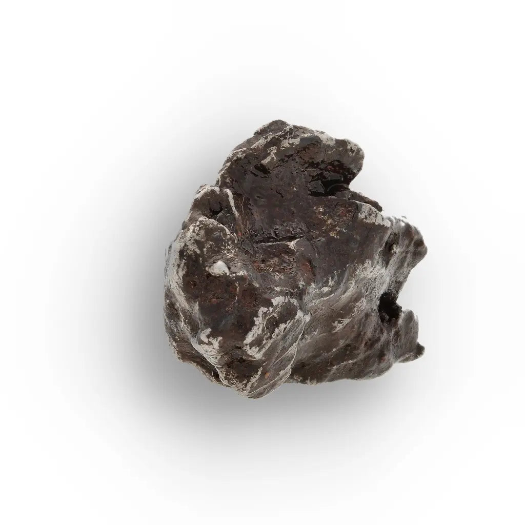 Get your Sikhote-Alin Meteorite Fragment | Genuine Iron from Russia online now or in store at Forever Gems in Franschhoek, South Africa