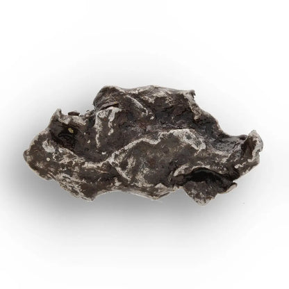 Get your Authentic Sikhote-Alin Iron Meteorite Fragment – 1947 Fall online now or in store at Forever Gems in Franschhoek, South Africa